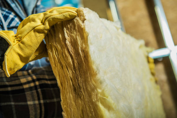 Insulation Inspection Services in Champlin, MN
